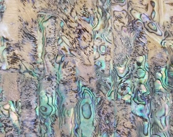 Rainbow (Paua) Abalone - 5.5” x 9.5” sheet