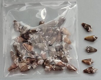Miniature Cones