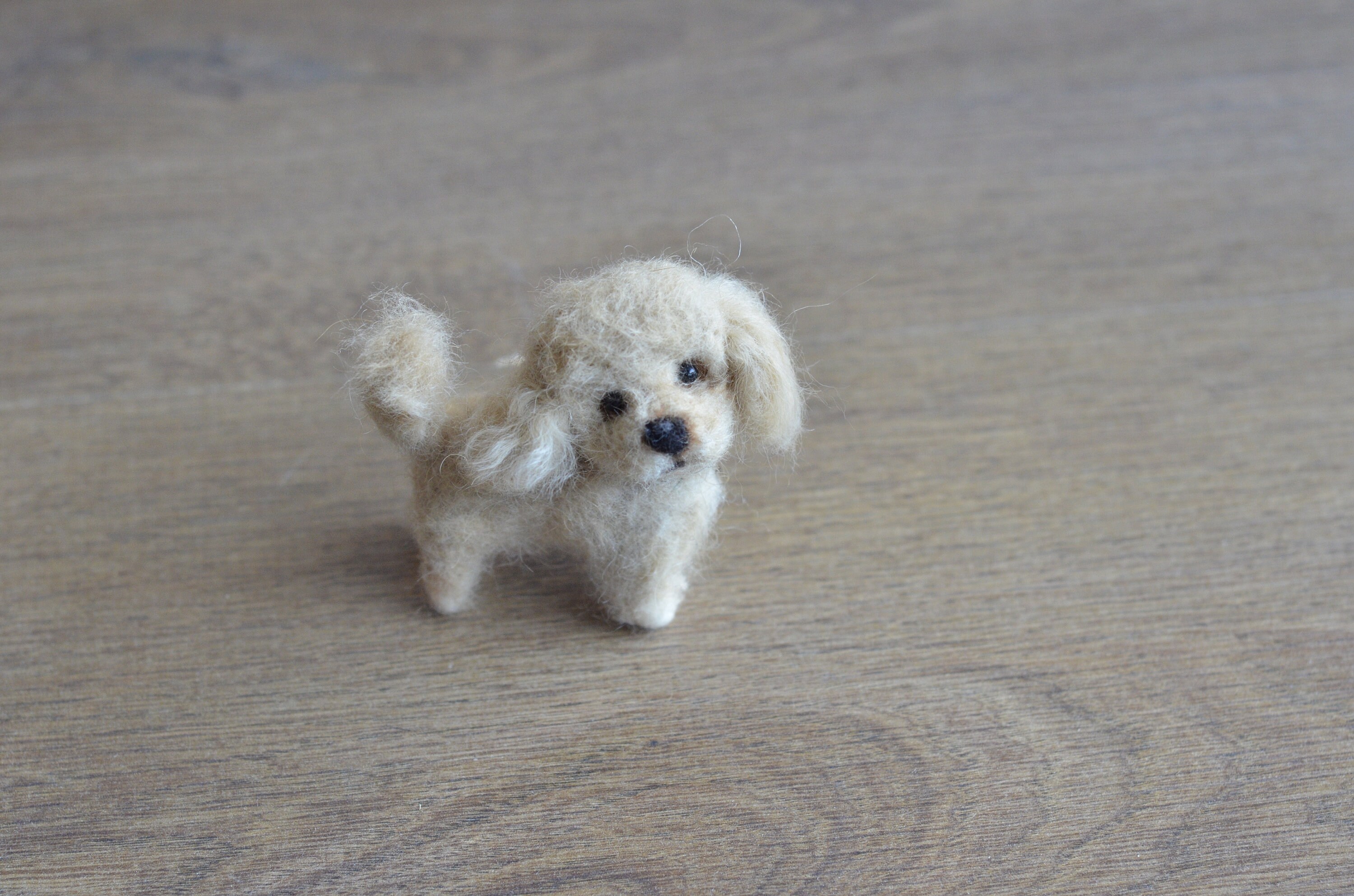 Small Apricot Poodle puppy figurine for home decor needle Etsy