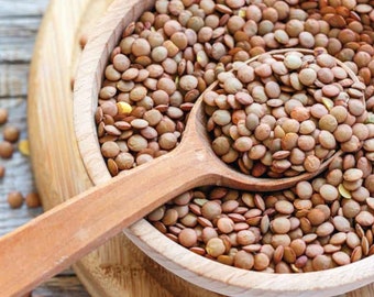 Organic Jerusalem Brown Lentil Mujadara Gram Legume Cereal Seed Bean Lentils Holy Land