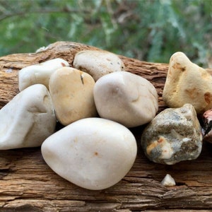 Stones Rocks 3pc From Holy Land Different Holy Sites Bethlehem Nazareth Jerusalem Tiberias