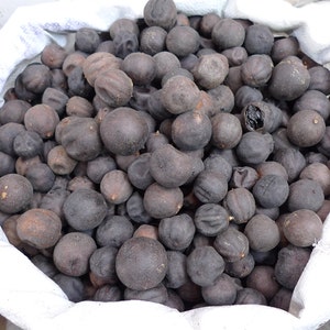 Dried Lime Black Lemon Lumi  Jerusalem Lemon Holy Land Quality Pure Organic