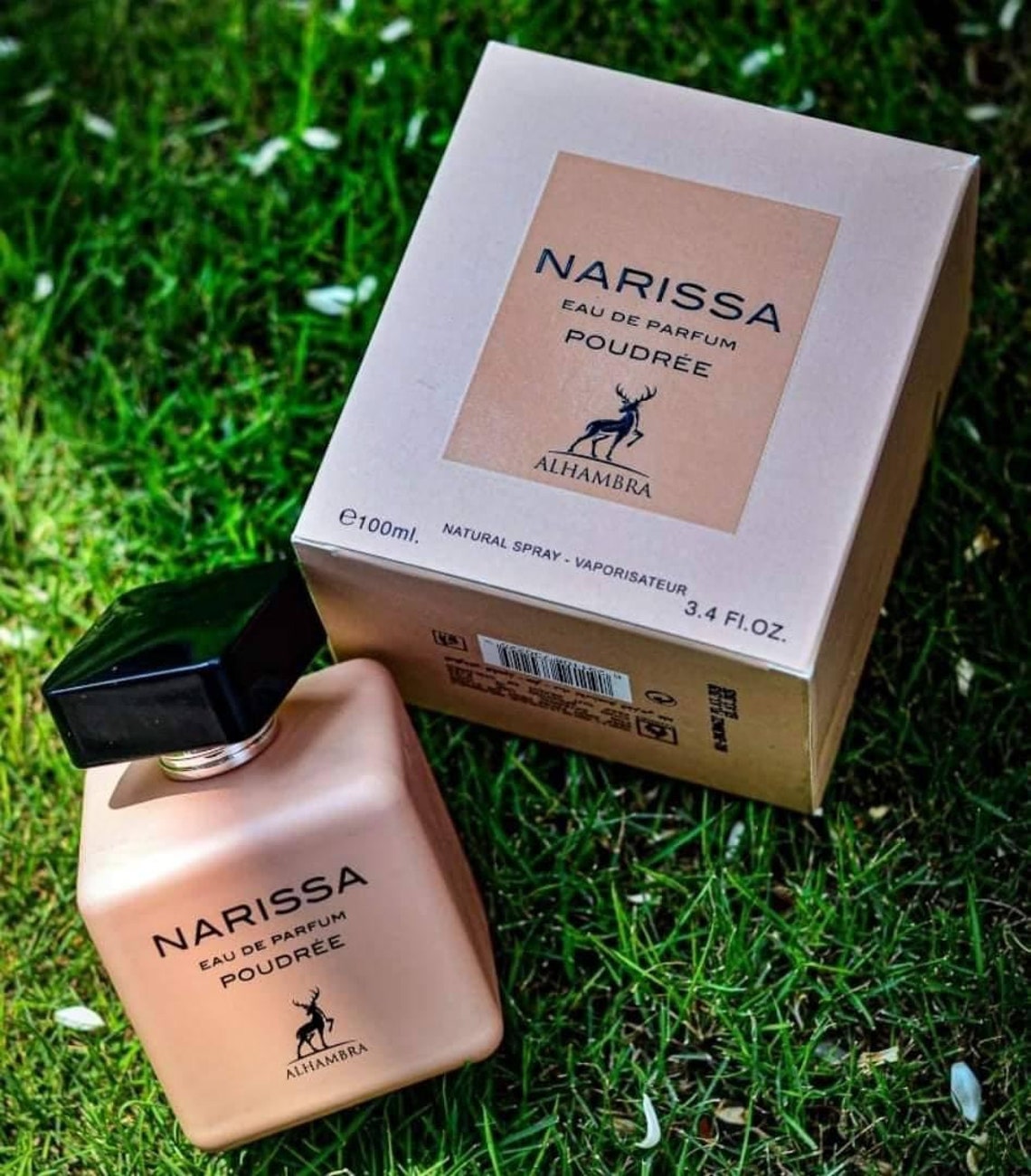 NARISSA POUDREE 100%original 100ml Eau De Parfum Made in U.A.E - Etsy
