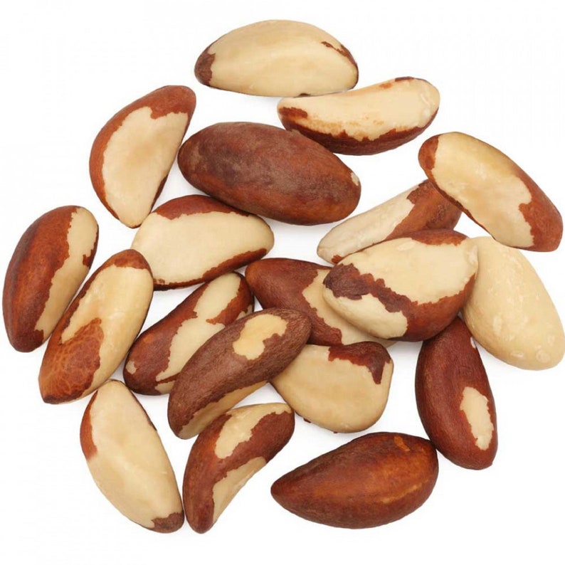 Brazil Nuts Salted Roasted Fresh Nuts Natural Israeli Food 210 Etsy
