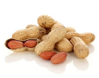 Cacahuètes grillées Noix fraîches salées Nourriture israélienne naturelle 210 g \ 7.4 oz