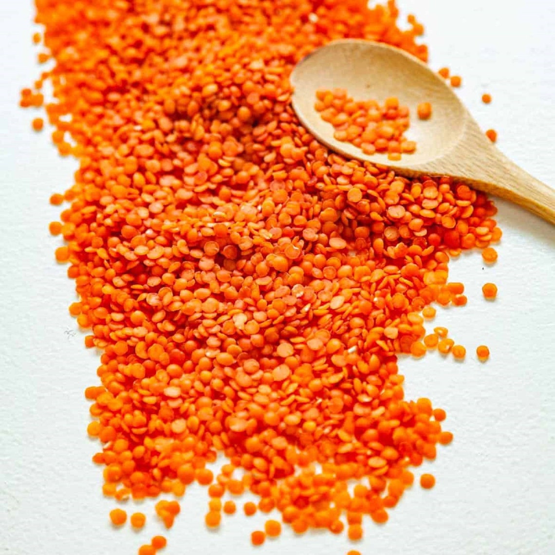 Organic Red Split Lentil Jerusalem Gram Legume Cereal Seed Etsy