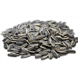 Sunflower Seed Salted Roasted Fresh Nuts Natural Israeli Food 210 gram \ 7.4 oz