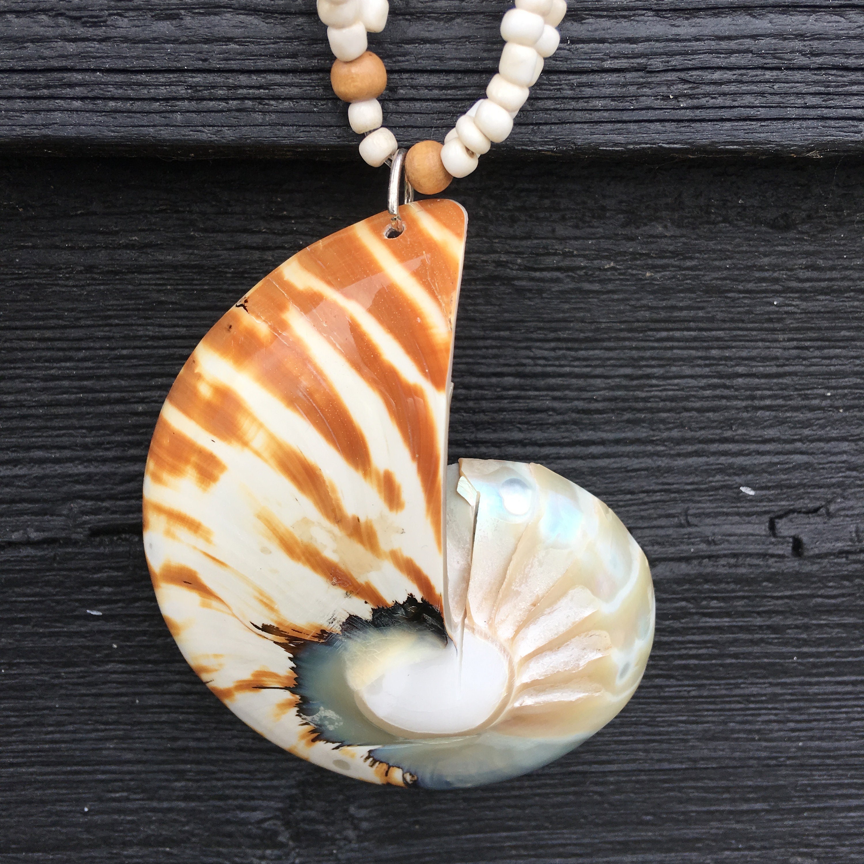 Large Shell Necklace Etsy