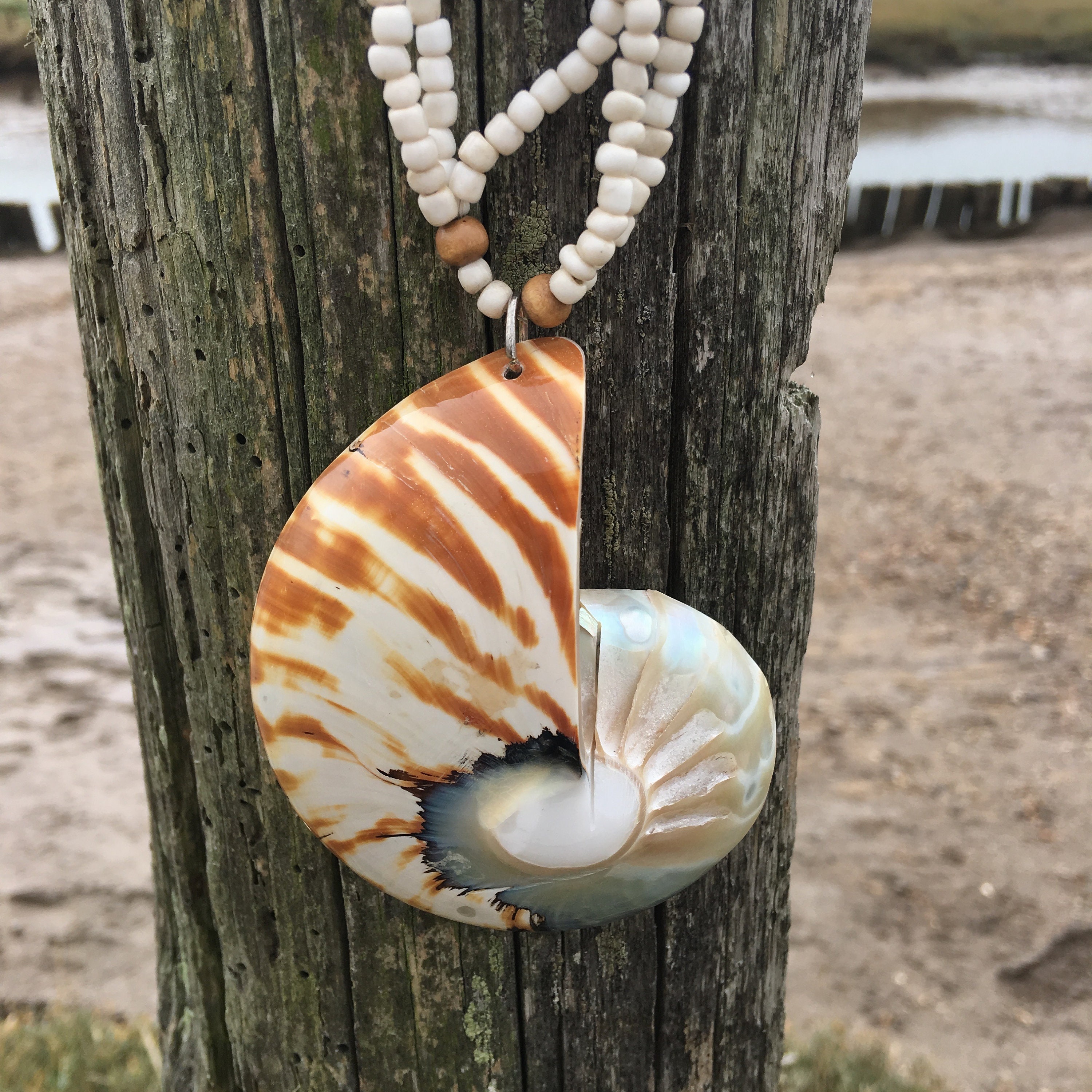 Large Shell Necklace Etsy