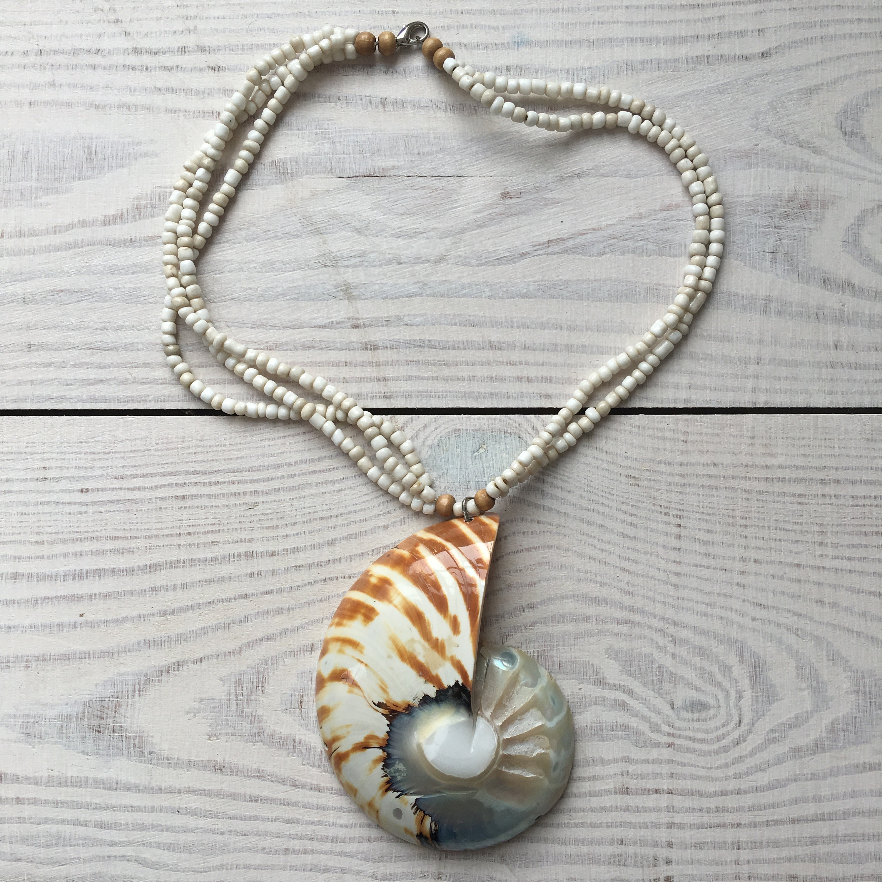 Large Shell Necklace Etsy
