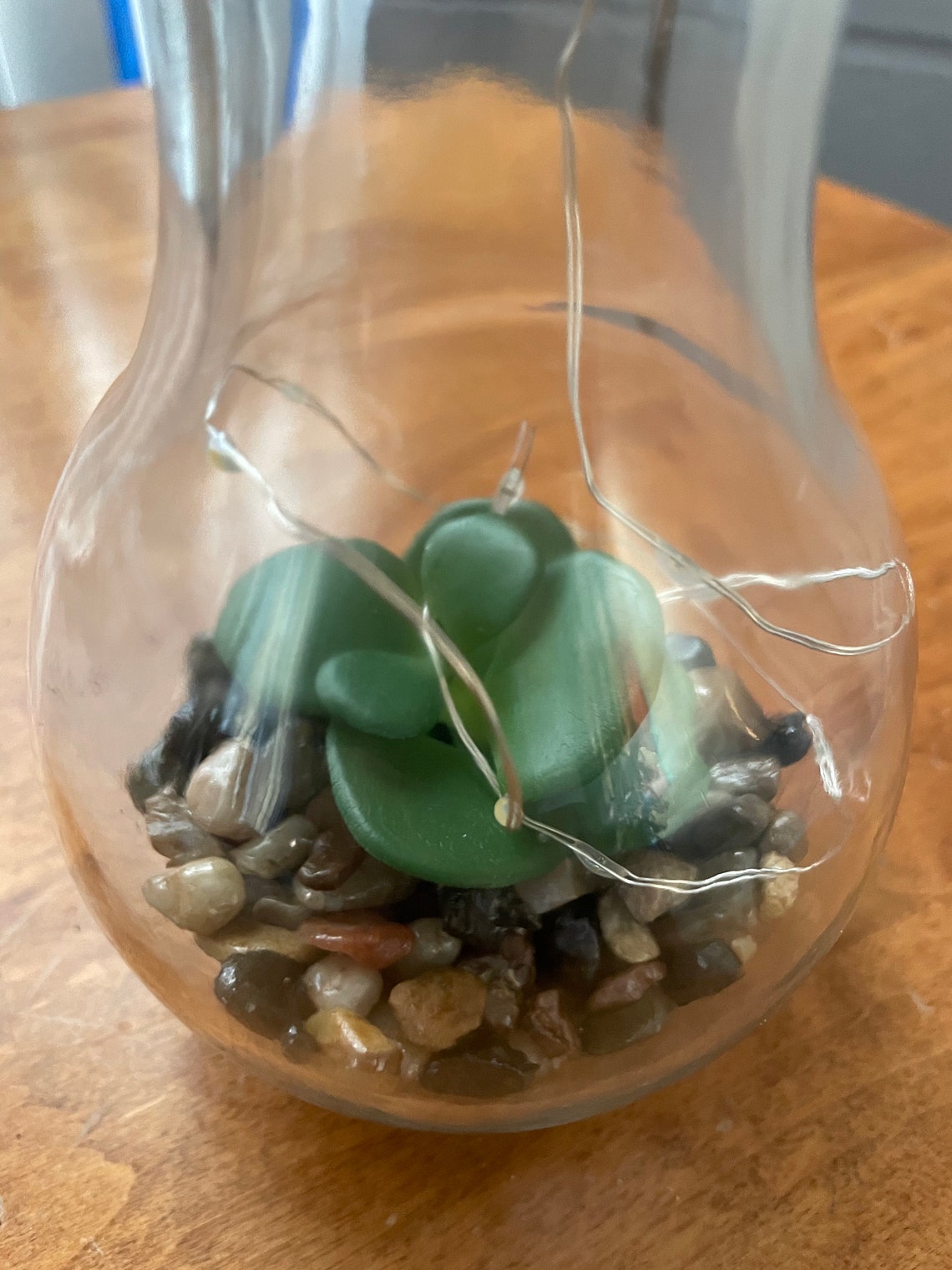 Unique Light Bulb Planter Succulent Lamp Etsy