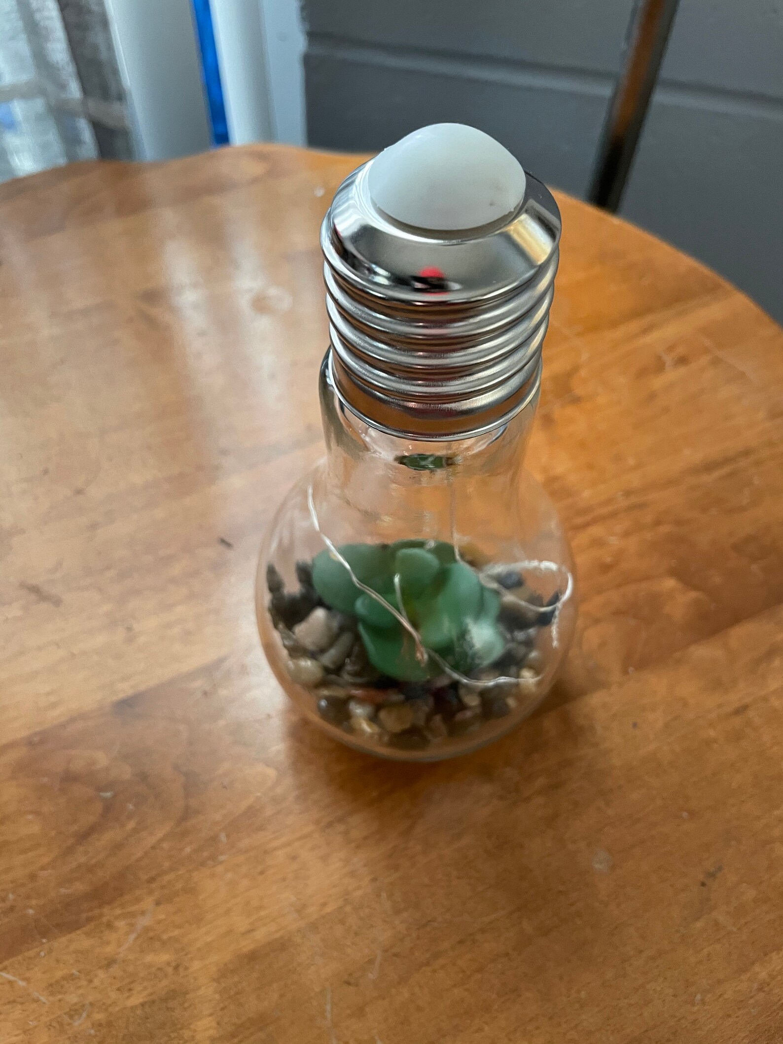 Unique Light Bulb Planter Succulent Lamp Etsy