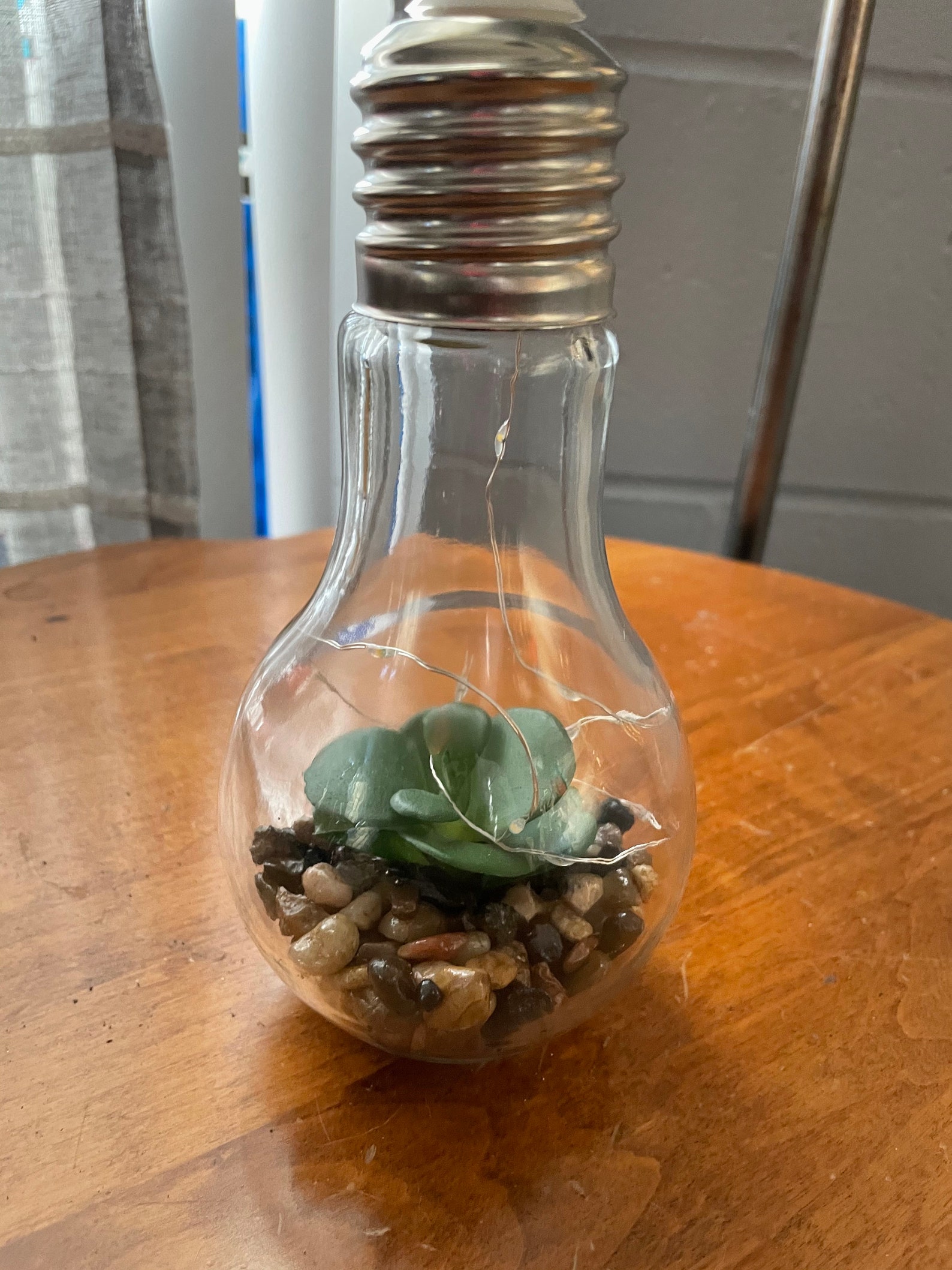 Unique Light Bulb Planter Succulent Lamp Etsy