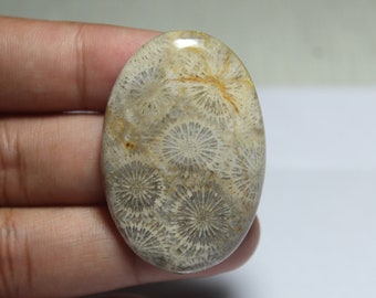 43x27x6 MM Oval Cabochon 55 CTS Beautiful Scenic Cabochons Black Fossil Coral #A-516
