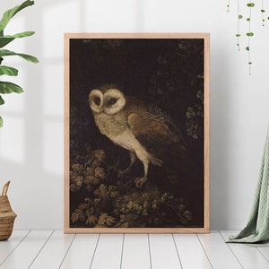 Vintage Night Owl Bird Painting Dark Academia Decor Animal Canvas Print Poster Framed Moody Art Antique Farmhouse Whimsical Country Rustic
