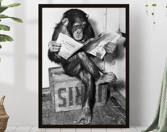 Chimpanzee Reading Newspaper Print Black and White Retro Vintage Funny Animal Photography Canvas Frame Printed Monkey Wall Art Decor Chimp