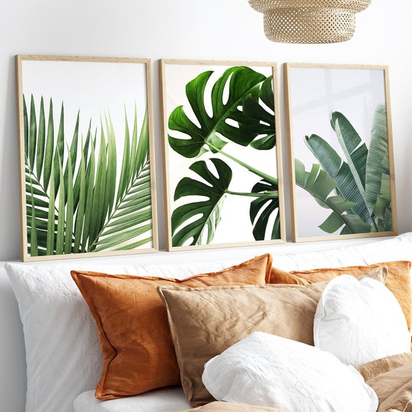 Tropical Set of 3 Green Monstera Leaf Banana Leaf Palm Photography Print Neutral Gallery Wall Art Decor Canvas Framed Printed Boho Chic