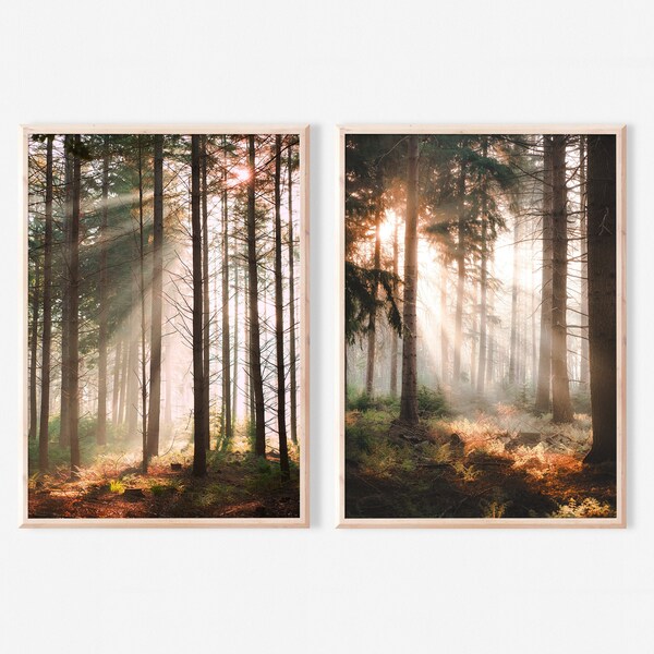 Forest Light Beam Gallery Wall Art Set of 2 Nature Photography Prints Woods Trees Landscape Rustic Cabin Decor Canvas Framed Printed Poster