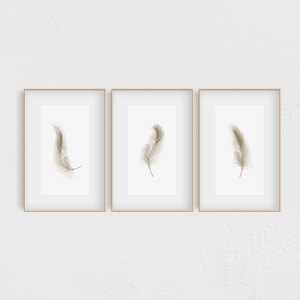 Beige Feather Print Set of 3, Feather Wall Art, Set of 3 Wall Decor Art Prints, Living Room, Sketched Wall Art, Ivory Feather
