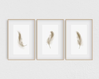 Beige Feather Print Set of 3, Feather Wall Art, Set of 3 Wall Decor Art Prints, Living Room, Sketched Wall Art, Ivory Feather