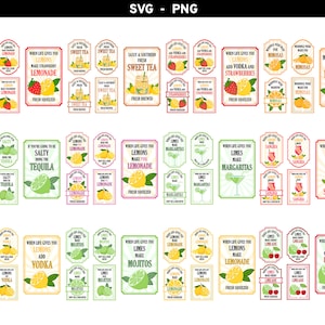 Mega Bundle When Life Gives You Lemons Vodka Lemonade svg png, When Life Gives You Limes Mojitos Margaritas svg, Bring The Tequila svg png