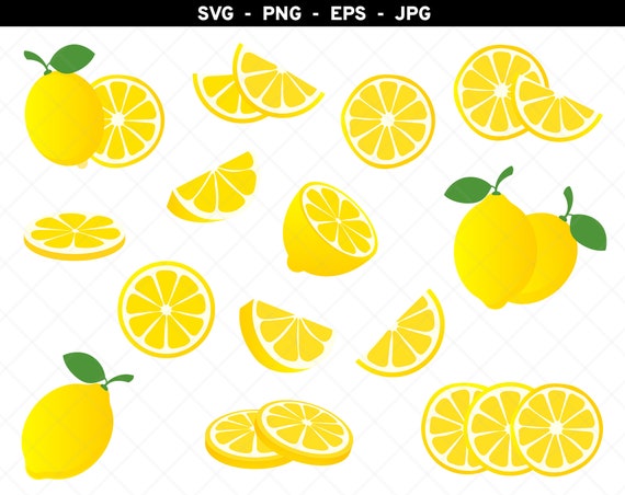 Lemon svg Bundle, Lemon Slice svg, Lemons svg, Lemon Cut File, Summer Fruit svg png eps jpg