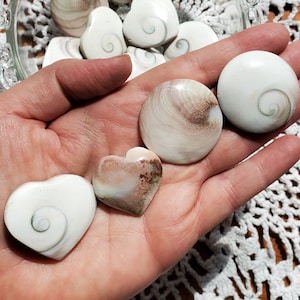 Shiva Eye Shell- Heart OR Circle- Crystal- Gemstone