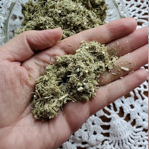 Mugwort Organic Dried Cut ~ Artemisia vulgaris- Herbs, Spells