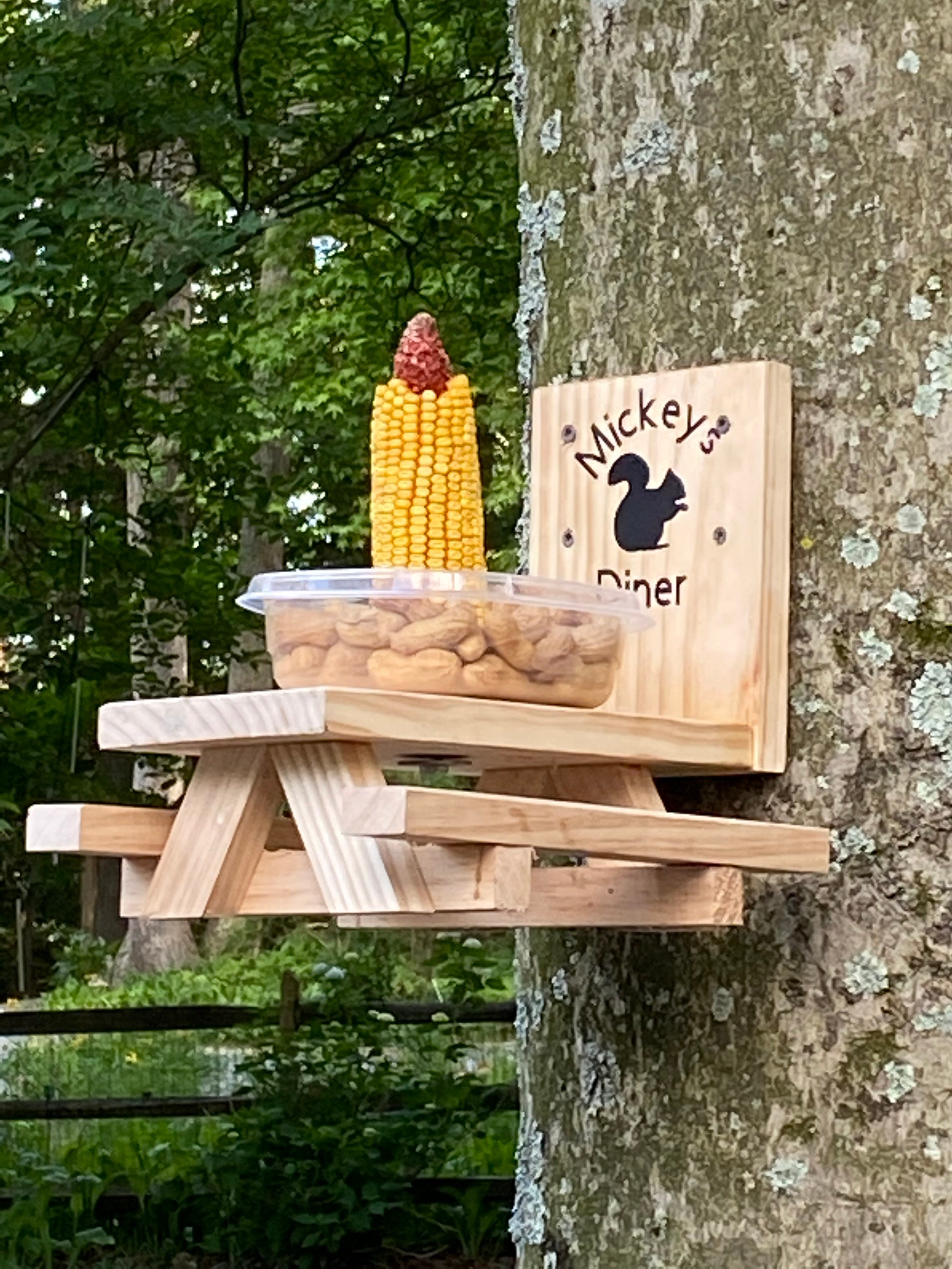 Squirrel Feeder Etsy