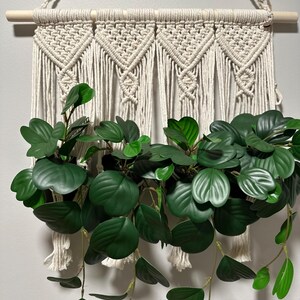 May include: A macrame wall hanging with a wooden dowel at the top. The hanging is made of white cotton cord and has a geometric pattern. A green plant with heart-shaped leaves is hanging in front of the macrame.