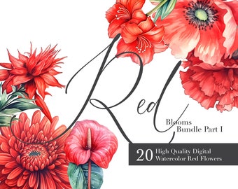 Watercolor Red Floral Clipart Set: Passionate Blooms (Digital Download)