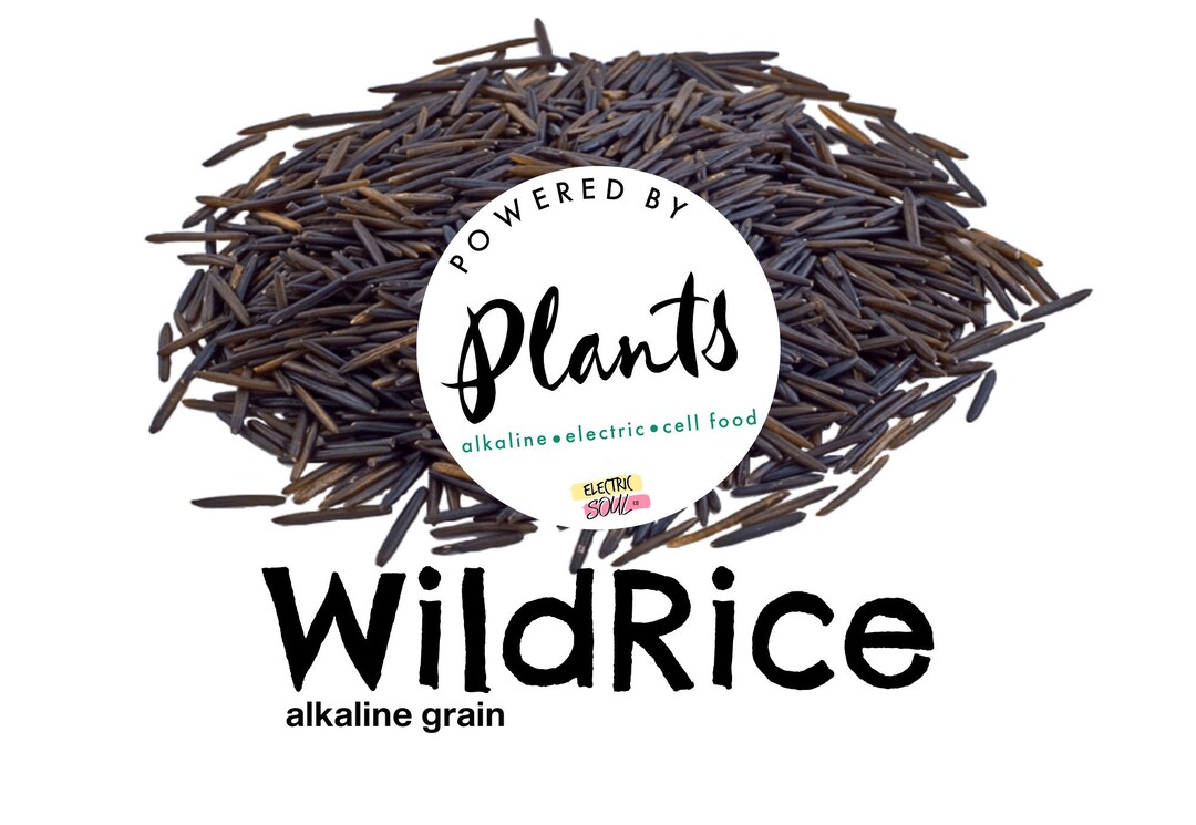 Organic Aquatic Wild Rice, Grade A Sebian Approved, Alkaline Grain