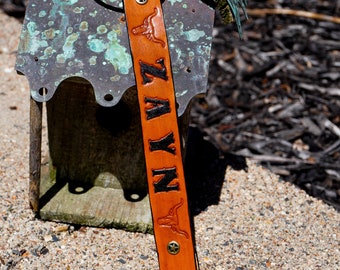 Texas Themed Pacifier Clip