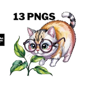 May include: A watercolor illustration of a cat wearing glasses and holding a green plant. The cat is orange, brown, and white. The image includes the text "13 PNGS" in black.