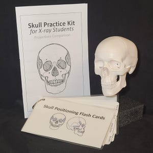 STUDENT Schädel Positioning Kit mit Karteikarten SPIEL!