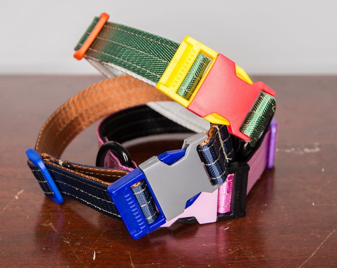 Hemlock 1 inch Dog Collar