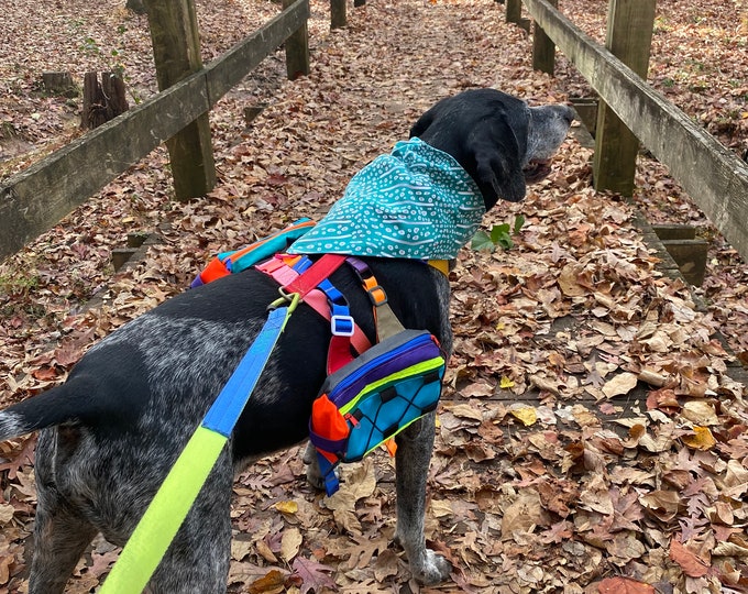 Hemlock Hound Puppy Panniers Double Pocket Pack