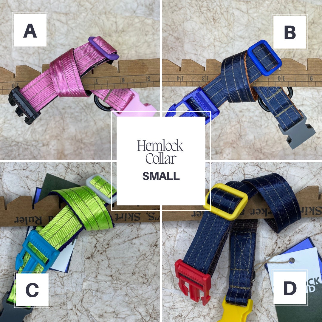 Hounds top abound collars