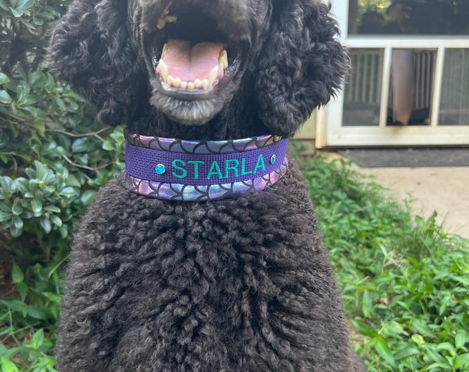 Slide On Satin Lined Martingale Dog Collar | Padded Adjustable Collar with Webbing | Unique Patterns | Gentle Training Cinch Collar