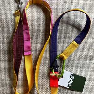 May include: A yellow, red, pink, and blue dog leash with a green carabiner clip. The leash has a tag that says "Hemlock Hound".