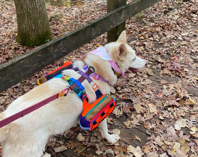 Hemlock Harness w/ connecting points for puppy panniers