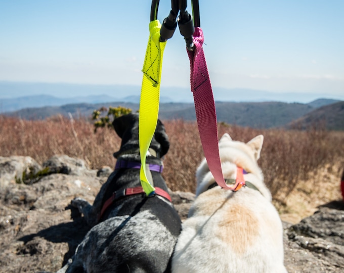 Customizable Dual Dog Leash Segment (Part 2) - Choose Your Colors!