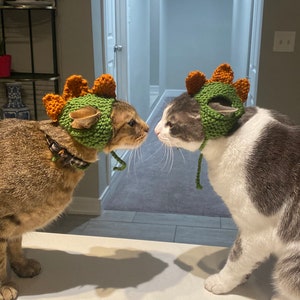 Hand-Knitted Cat Hat