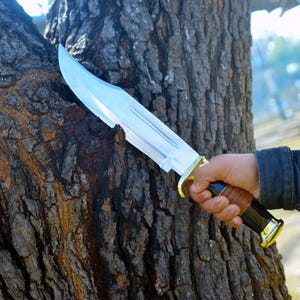 May include: A silver knife with a wooden handle and a gold-colored metal guard. The knife is held by a hand in front of a tree trunk.