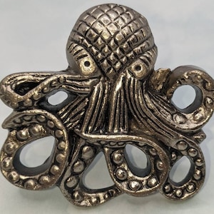 May include: A silver-toned octopus figurine with detailed tentacles and a textured body. The octopus is a popular nautical theme for home decor.