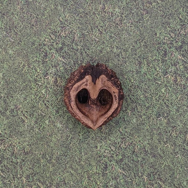 OWL FACE Fairy Garden, Eastern Black Walnut from Sturbridge MA