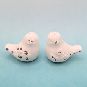 SET OF DOVE Salt/Pepper Shakers Porcelain/Ceramic Free Shipping