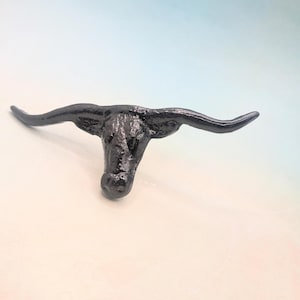 May include: Black cast iron longhorn steer head with horns. The head is facing down with the horns pointing out to the sides.