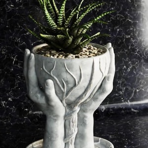 Puede incluir: Maceta de cerámica blanca con forma de dos manos sosteniendo un árbol. El árbol está hecho de ramas y tiene una pequeña planta suculenta que crece en la maceta.
