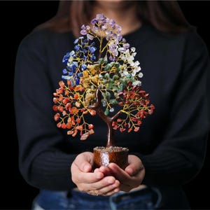 Può includere: Un albero di cristallo con sette cristalli di diversi colori, tra cui ametista, lapislazzuli, citrino, aventurina verde, corniola, diaspro rosso e quarzo trasparente. L'albero è su una base di legno marrone.